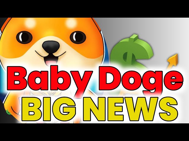 Baby Doge 突發新聞🔥BabyDoge Coin 新聞今日更新🔥Baby Doge 硬幣價格預測🔥BABY DOGE