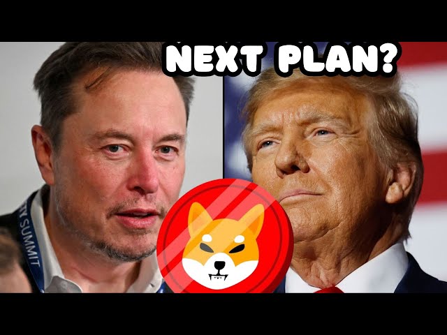 LA NOUVELLE SOLUTION TWITTER D'ELON MUSK POUR TRANSFORMER SHIBA INU EN JETON DE 3,00 $ !! (PENDANT LA NUIT !?) - SHIB NEWS