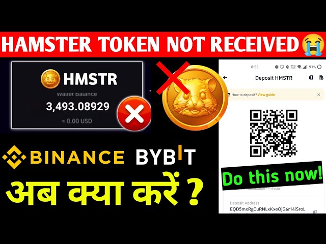 Hamster Tokens Not Received | Hamster Token Nahi Mila | Why did I get Hamster Token? Hamster Kombat