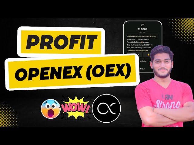 Openex (Oex) 上場価格と利益 || Oex トークンのロック解除要求の更新