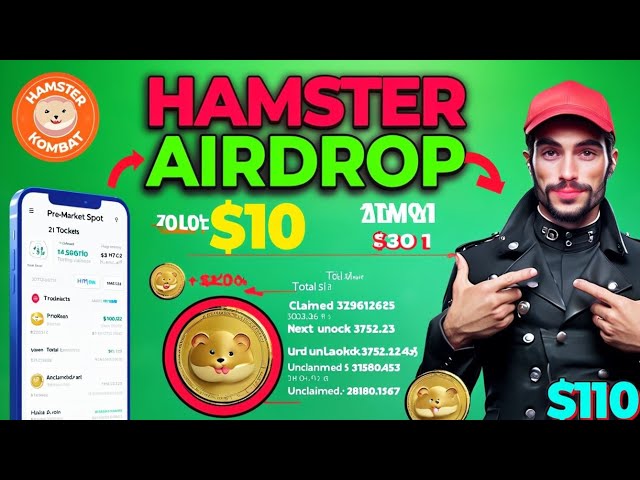 हम्स्टरकोम्बाट मे किन्ता एड्रोप डेगा ✅ tonne pièce #hamsterkombat #dailycipher