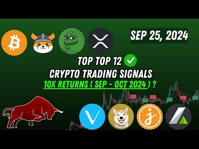 前 12 个加密货币交易信号 10x Pepe coin、doge coin、Bonk coin、Kas coin、Shib coin 2024 年 9 月 25 日