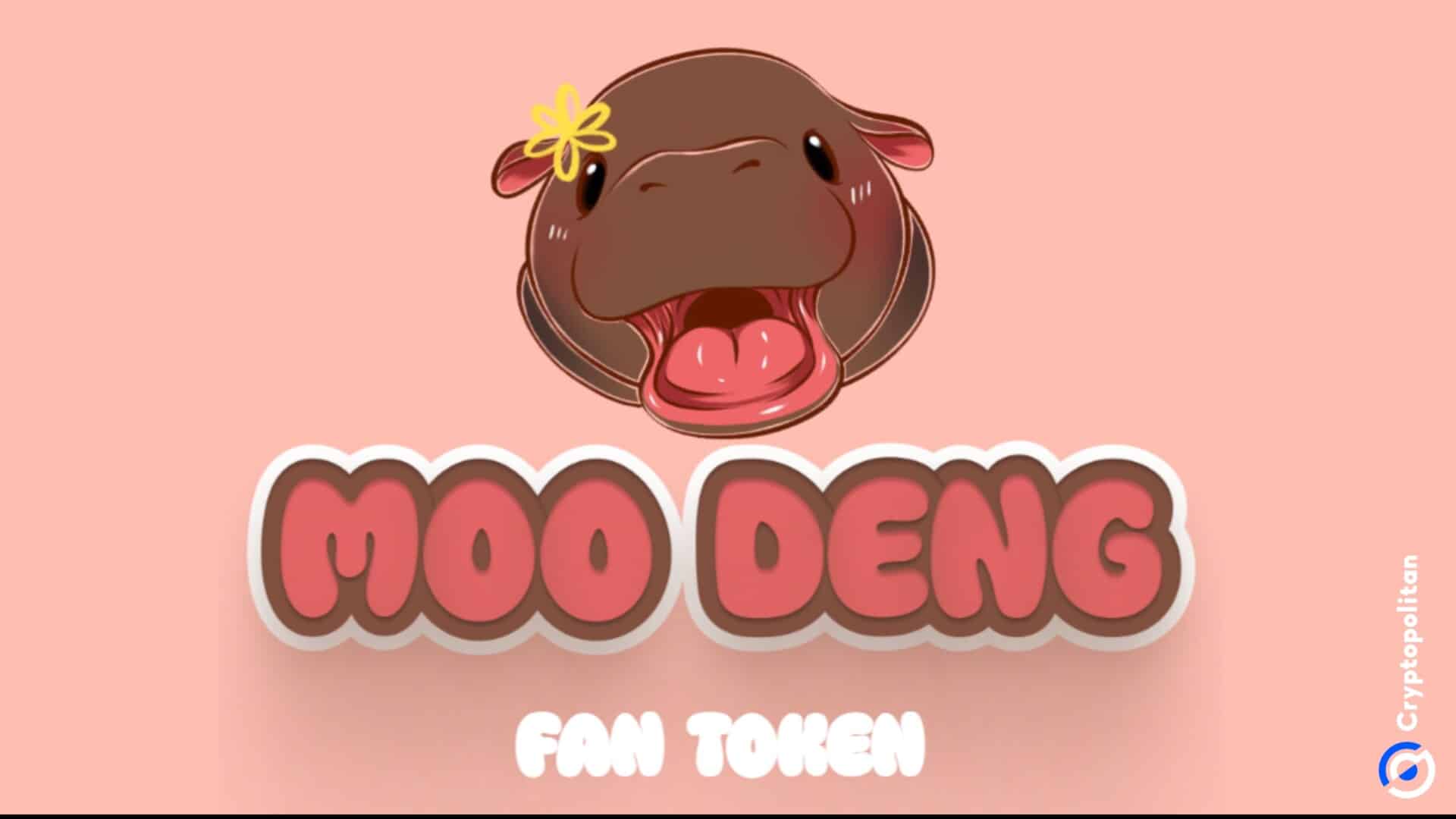 Moo Deng 价格在看涨通道内形成看涨三角旗