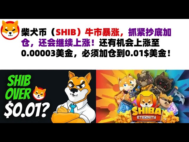 Le marché haussier du Shiba Inu Coin (SHIB) s'envole, dépêchez-vous d'acheter le plus bas et d'ajouter des positions, il continuera d'augmenter ! Il y a encore une chance de monter à 0,00003 dollars américains, vous devez donc augmenter vo