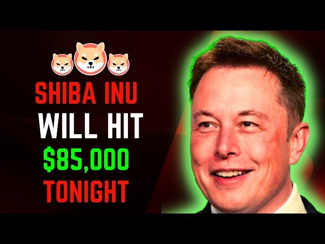 ELON MUSK는 가장 큰 SHIBA INU 사기를 운영합니다! - 오늘의 SHIBA INU 코인 뉴스