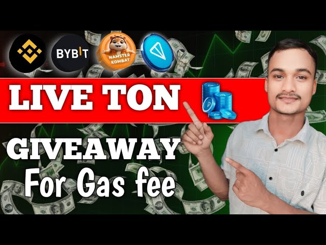 Live Ton Giveaway 🎁 Hamster Kombat | Live-Preisvorhersage 💵🙏 | Live-Preisüberprüfung Hamster Token