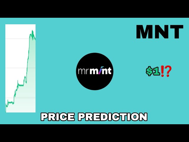 MNT COIN TO THE MOON‼️ PRÉDICTION DU PRIX MR MINT 1 $ EST RÉEL⁉️ LE PROCHAIN ​​POTENTIEL DE CRYPTO