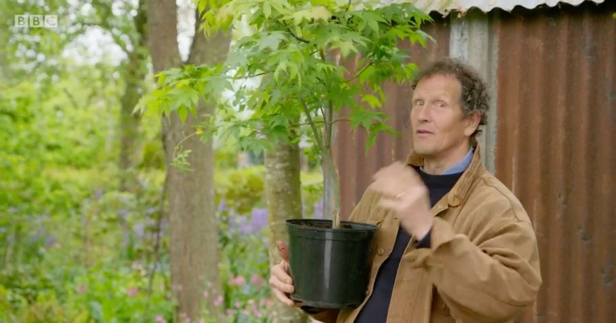 蒙蒂唐 (Monty Don) 分享重要的園藝技巧，確保您的植物度過冬天