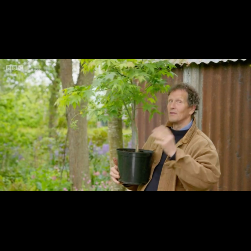 Monty Don gibt wichtige Gartentipps, um sicherzustellen, dass Ihre Pflanzen den Winter überleben