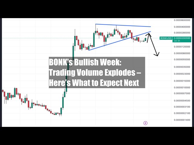 BONK 看漲的一周：交易量爆炸式增長——以下是該做什麼