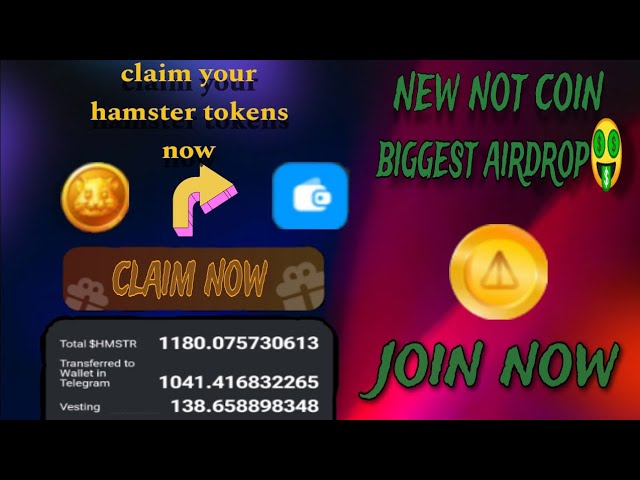 新的不是硬幣在這裡，HMSTR 存款開始 ||好奇的舒布|| #hamsterkombat #notcoin #notpixel