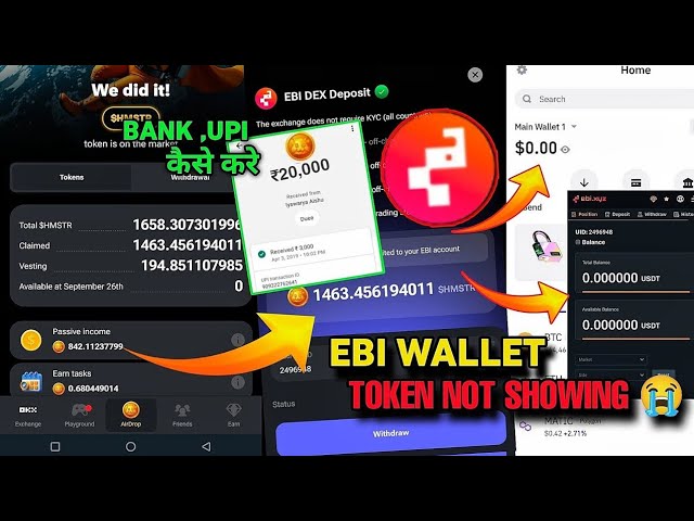 EBI Wallet Hamster Kombat | Token Not Showing 😭 How to do Withdrawal in Bank? Hamster Kombat