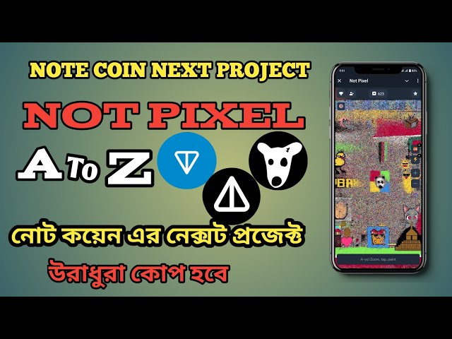 NOT PIXEL, A à Z, NOT Coin Next project, Not Pixel est le prochain projet de Not Coin