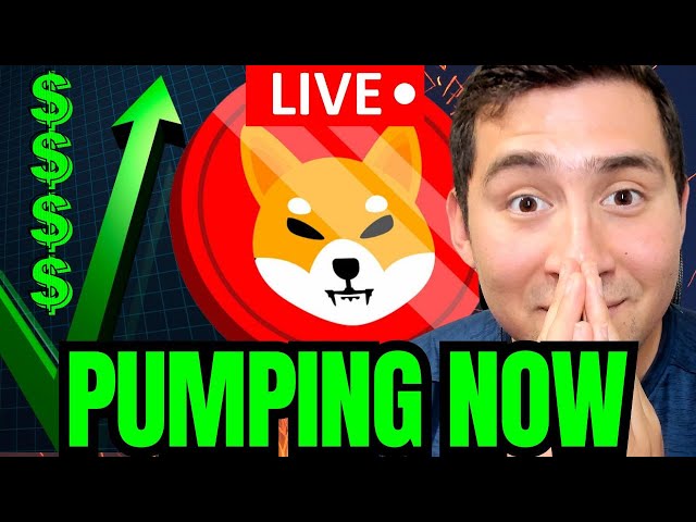 SHIBA INU COIN EXPLOSE EN DIRECT🔴BREAKING CRYPTO NEWS