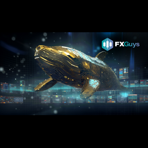 BTC, SOL, and FXG: Whale Picks for October and Beyond