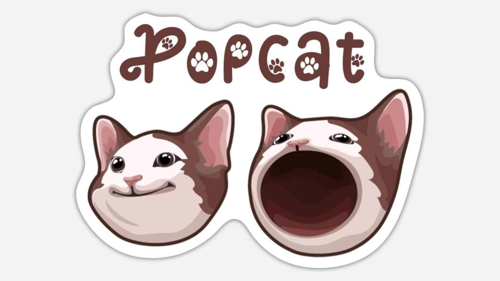 Popcat (POPCAT) 在日线图上出现看跌模式后，价格将下跌超过 15%