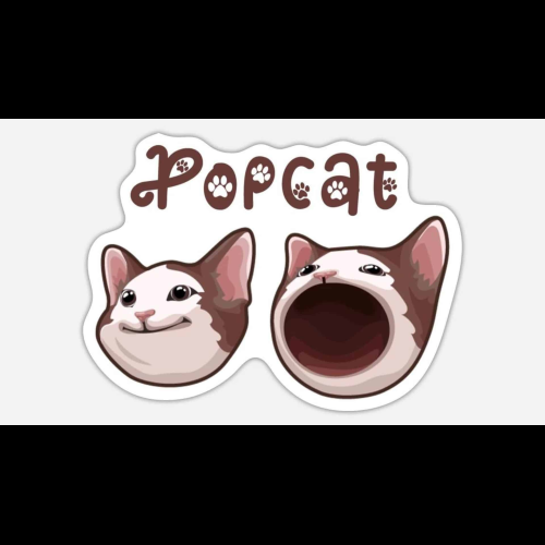 Popcat (POPCAT) 在日线图上出现看跌模式后，价格将下跌超过 15%