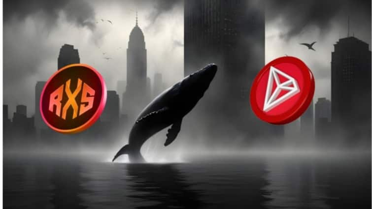 Rexas Finance(RXS)가 2025년까지 Tron(TRX)을 강력한 경쟁자로 대체할 수 있다고 Whales가 경고함