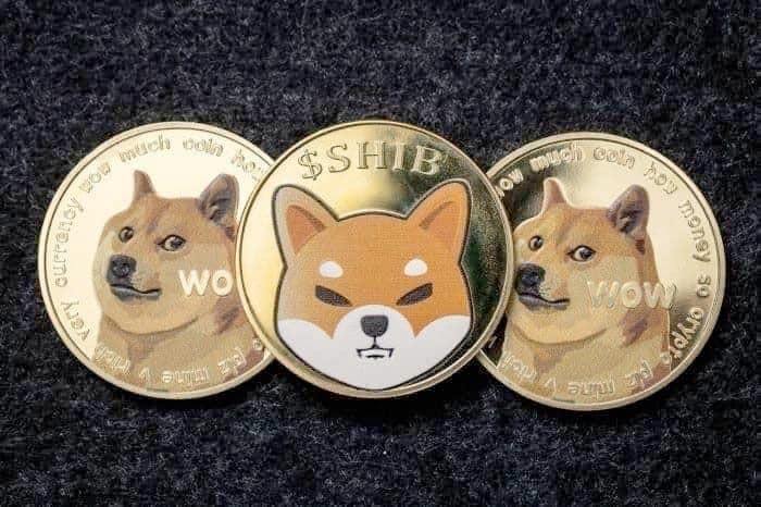 도지코인(DOGE)의 2021년 상승을 모방하여 포물선 랠리를 준비하는 시바견(SHIB)