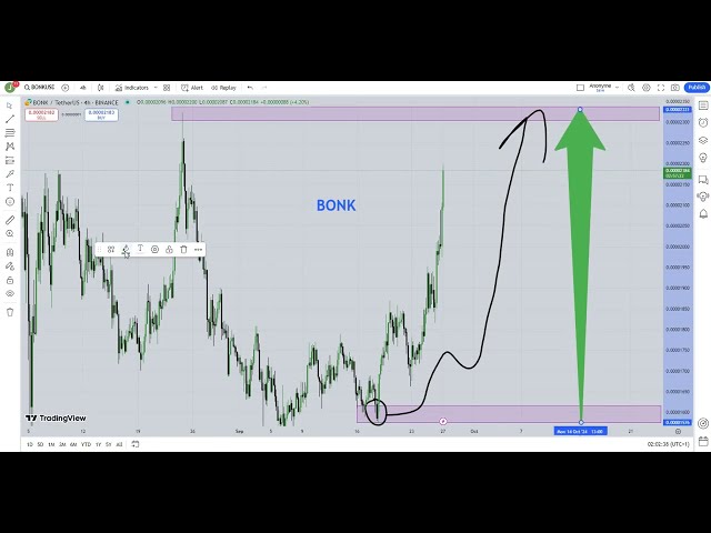 Bonk (BONK) Crypto Price Prediction 2024