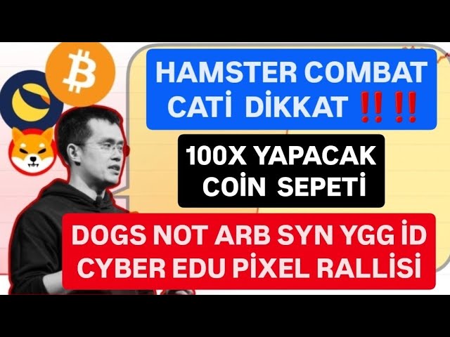 DOGS NOT ARB SYN YGG ID EDU 像素拉力賽🚨倉鼠戰鬥貓🚨#BTC 關注🚨將賺取 100 倍的金幣籃子