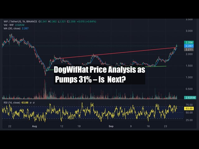 DogWifHat-Preisanalyse: $WIF steigt um 31 % – kommen als nächstes 2 $?