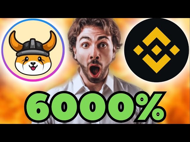 Floki et la chaîne BNB lancent Meme Coin Launchpad Grafun