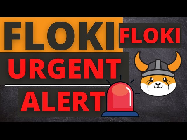 今日 FLOKI 币价格新闻 - 最新价格预测和技术分析