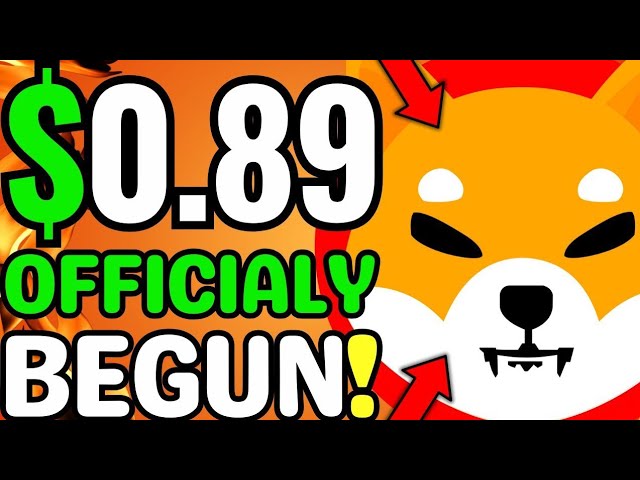 柴犬: 0.89 ドルのブルラン - リスクは 860 億ドル!柴犬コインニュース！価格予測分析