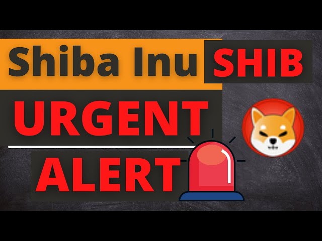 Shiba Inu Coin SHIB Token Price News Today - Dernières prévisions de prix et analyses techniques