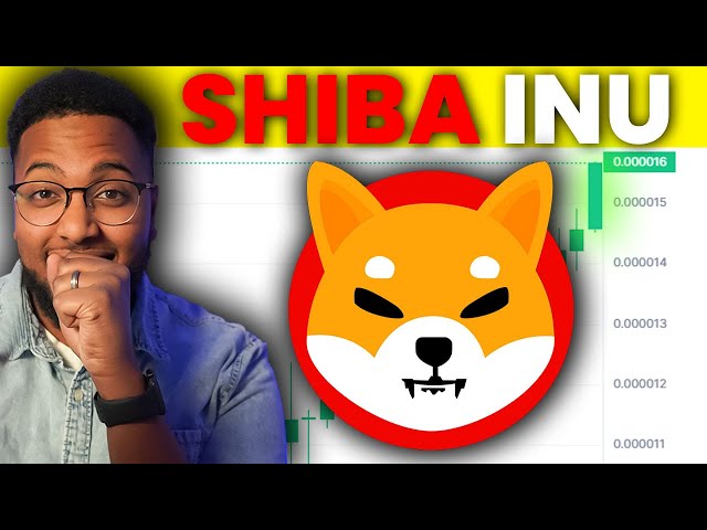 SHIBA INU COIN EST SUR LE POINT DE FAIRE CELA PROCHAINEMENT ! VOICI POURQUOI $SHIB TOKEN EST PRÊT À VOLER !