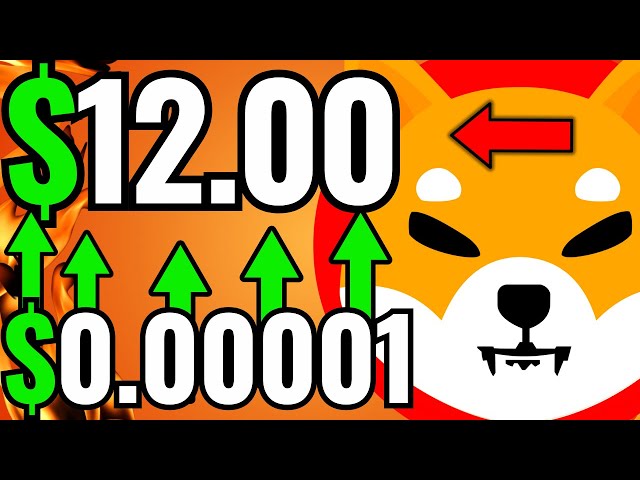 SHIBA INU SKYROCKET : PRÉPAREZ-VOUS POUR 12,00 $ SOAR ! LA PIÈCE SHIBA INU EST INDÉSIRABLE ! PRÉDICTION DES NOUVELLES SHIB