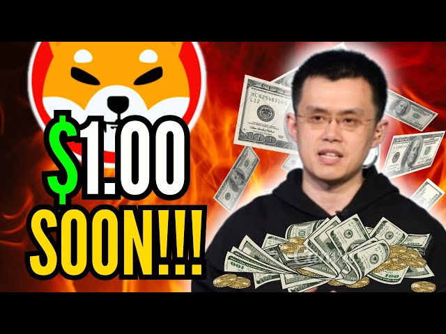 TOP ANALYSTS WARN YOU TO NOT MISS THIS SHIBA INU COIN UPDATE!! - SHIBA INU NEWS TODAY