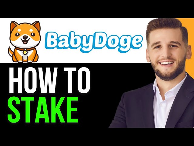 AKTUALISIERT: WIE MAN BABY DOGE COIN 2024 STAKET! (VOLLSTÄNDIGE ANLEITUNG)