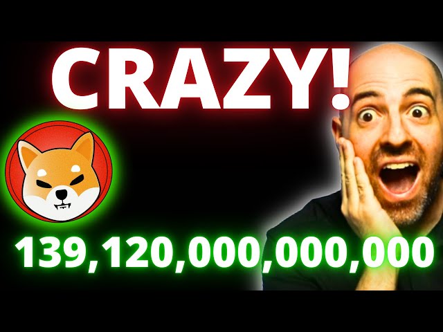 WOW! THIS IS INSANE! 139,120,000,000,000 IS BLOCKING SHIBA INU!