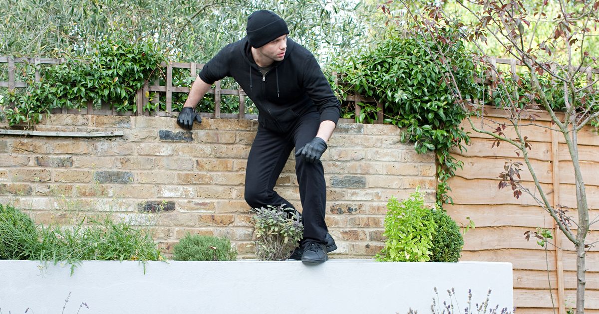 7 Cost-Effective Ways to Upgrade Your Garden Security This Summer