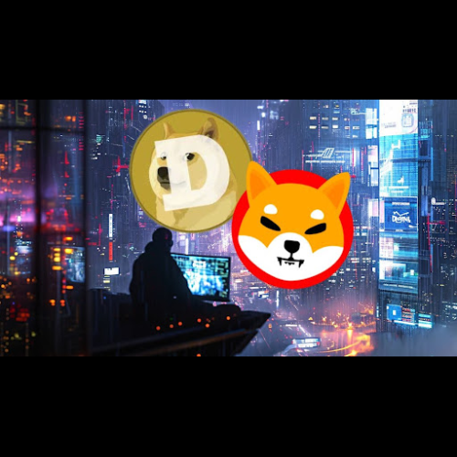 DOGEN: Das Meme-Token für Alpha-Männer, die das Beste verlangen