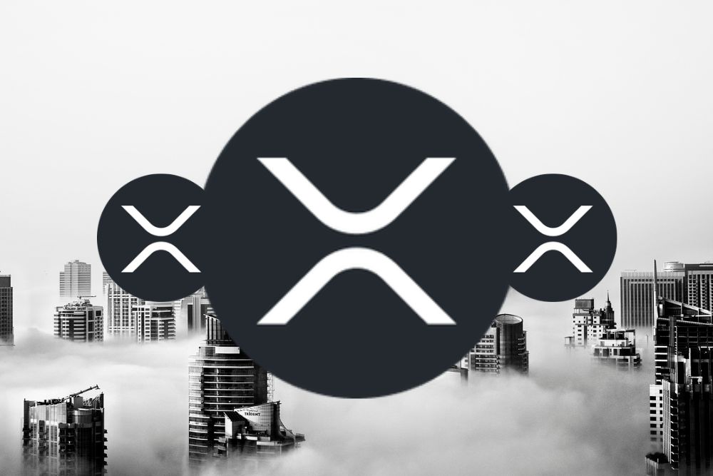 顶级 XRP 持有者的排他性