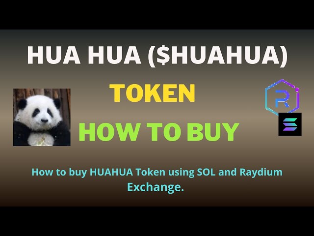 如何使用 Raydium Exchange 和 SOL 購買 HUA HUA ($HUAHUA) 代幣