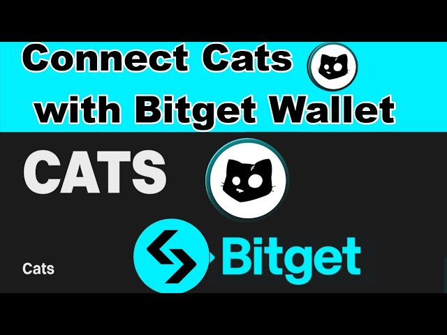 How to Connect Wallet in Cats Coin Telegram  with Bitget wallet