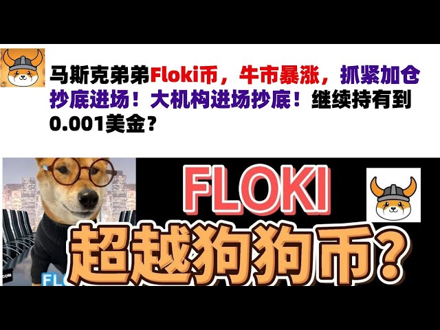 馬斯克弟弟Floki幣，多頭暴漲，抓緊加倉抄底進場！大機構進場抄底！繼續持有到0.001美金？ Floki幣|馬斯克弟弟發行幣|Floki幣行情分析！