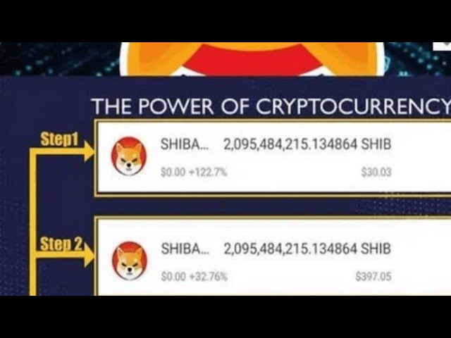 Shib coin will pump one day and everyone will see you I want everyone