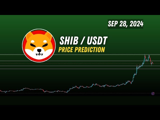 柴犬 (Shib) 硬幣價格預測 | Shib 加密貨幣的下一個目標 | 2024 年 9 月 28 日