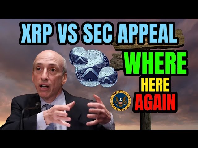 XRP 新闻：XRP 与 SEC 上诉！最新的情况我不担心！ XRP 今日最大新闻#trading