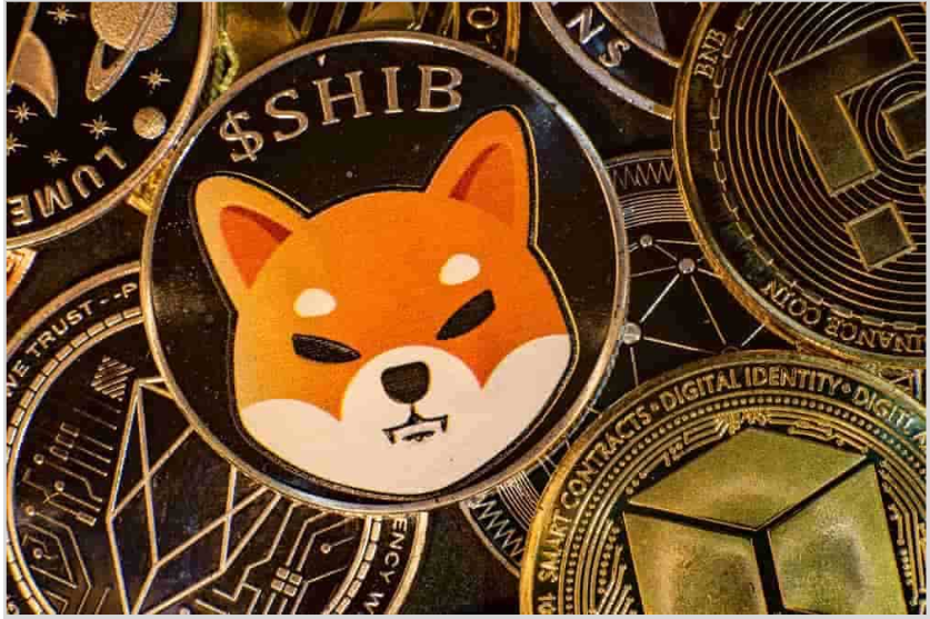 Les volumes de transactions avant commercialisation d'ETFSwap (ETFS) montent en flèche de 690 % alors que les investisseurs de Shiba Inu achètent ICO pour 11,4 millions de dollars