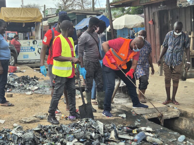 Tema: Clear The City Of Stray Animals – Regional Minister Orders MCE