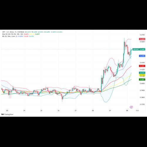 Le jeton XRP (XRP) voit son prix augmenter de 5 %, se négociant à 0,646 $ au 30 septembre 2024