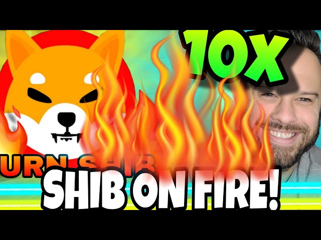 Shiba Inu Coin Is On Fire! Analysts Expect A 10x Rally In The Price Of SHIB!