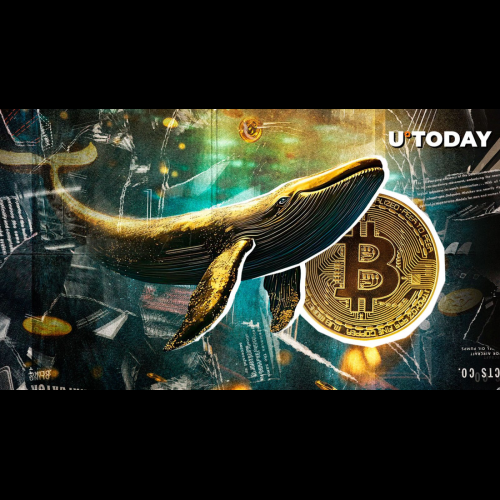 Ancient Bitcoin Whale Reawakens After More Than a Decade of Dormancy