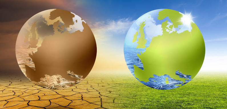 The Two Sides of the Coin: Climate Change and Environmental Demise